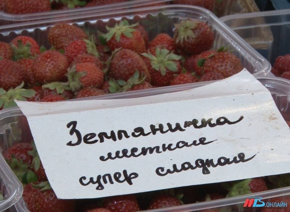 Волгоградцам рассказали о преимуществах российской клубники