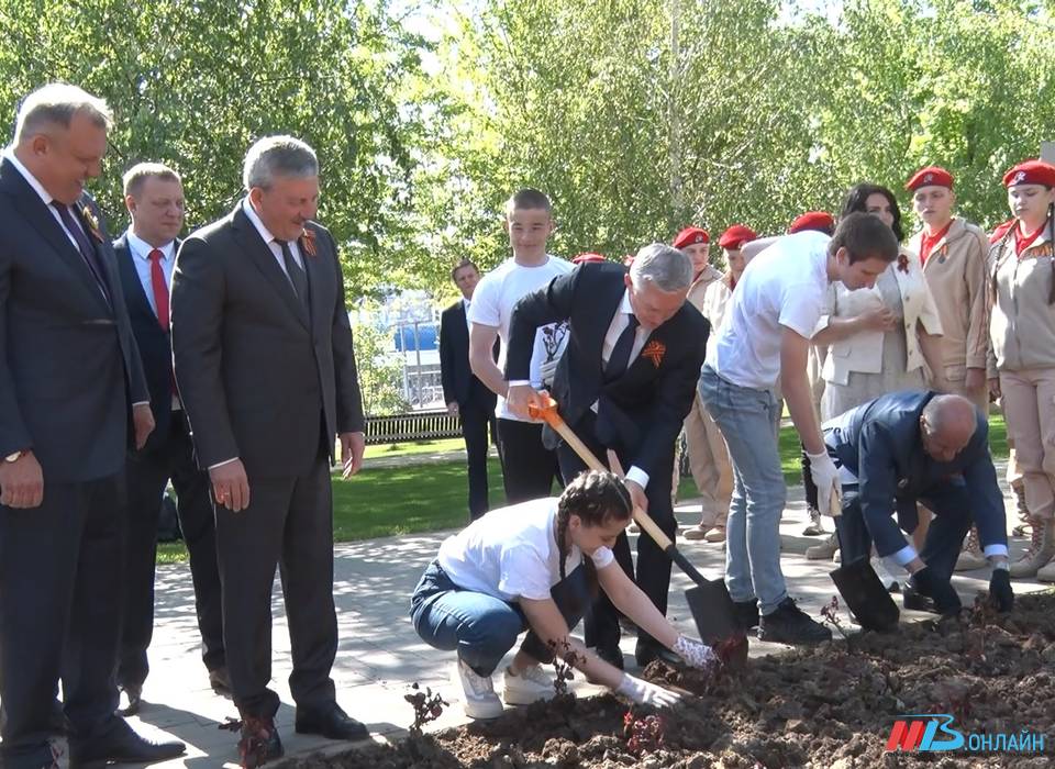 Волгоград присоединился к акции  «Розы Донецка – городам России»