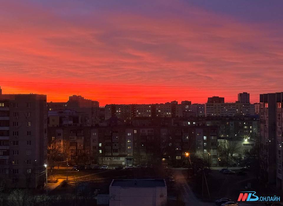 Более 480 соотечественников переехали в Волгоградскую область в 2024 году