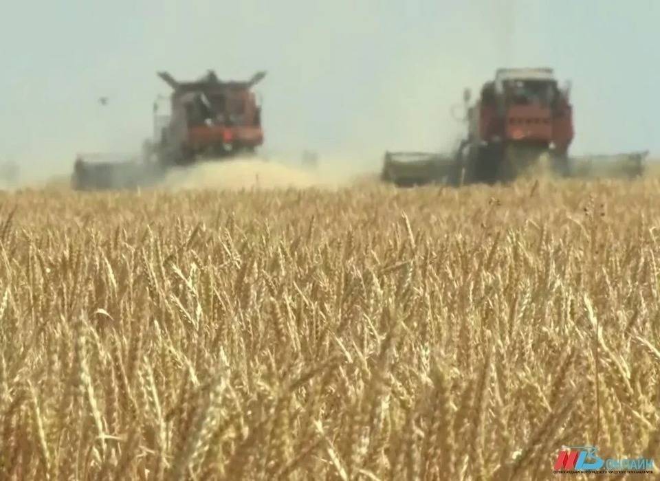 Волгоградская область увеличила экспорт зерна