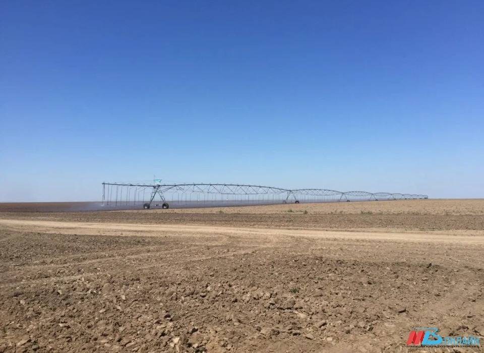 Более 700 тонн подсолнечного шрота отправили из Волгоградской области в Беларусь