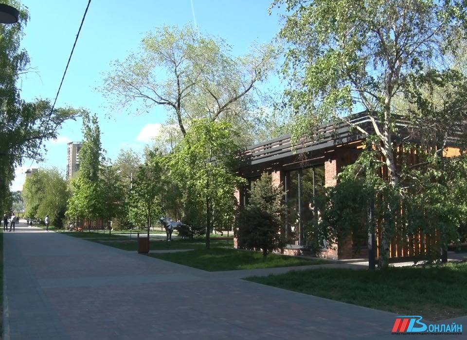 Дикие температурные качели идут Волгоградскую область: от нуля до +20 °С