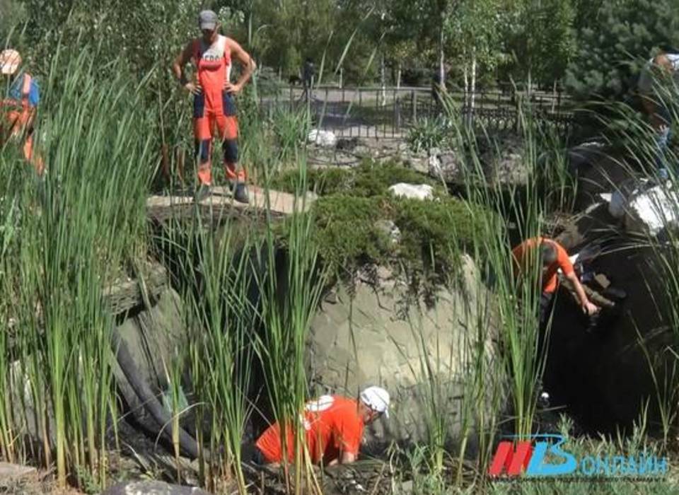 Волгоградцам угрожает завезённый из Перми клещевой энцефалит
