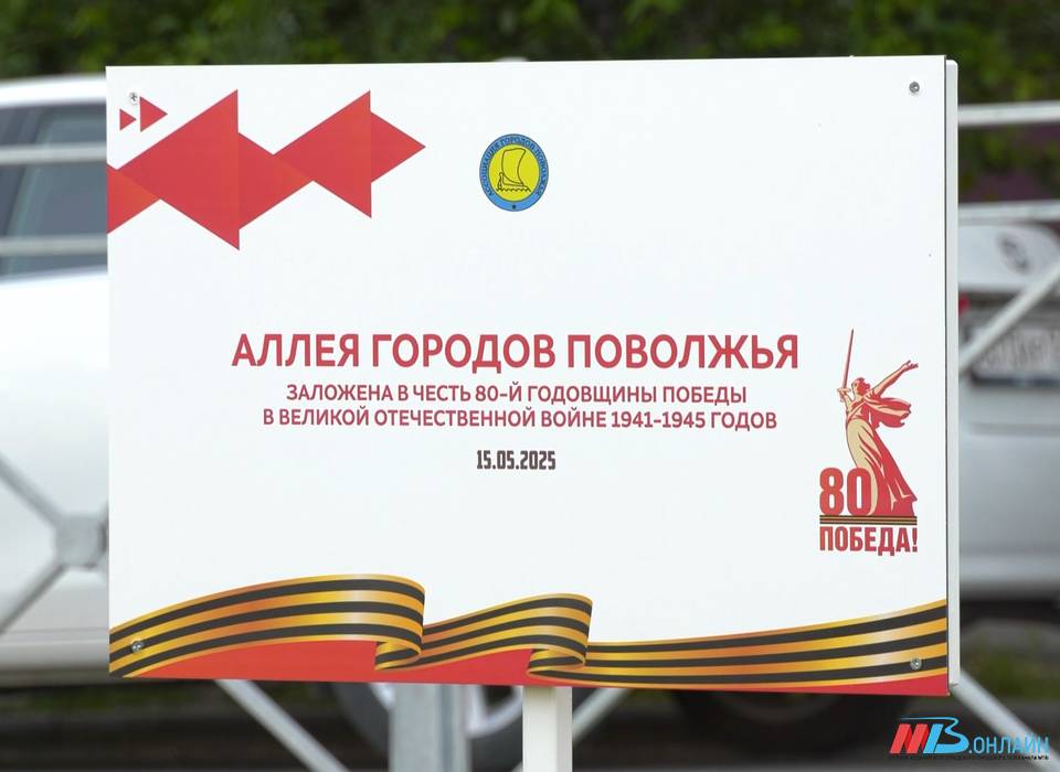 В Волгограде высадили Аллею городов Поволжья