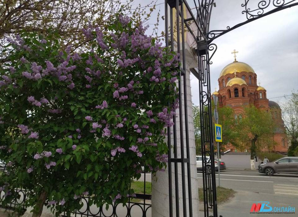 Жара под +30°С идет в Волгоградскую область: пик на выходных