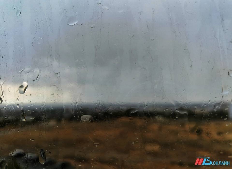 Дождь при +24ºC ожидается в Волгоградской области
