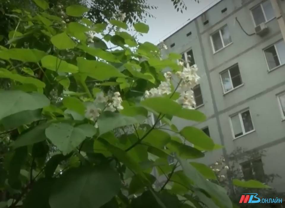 В Волгограде широко отметят Международный день соседей