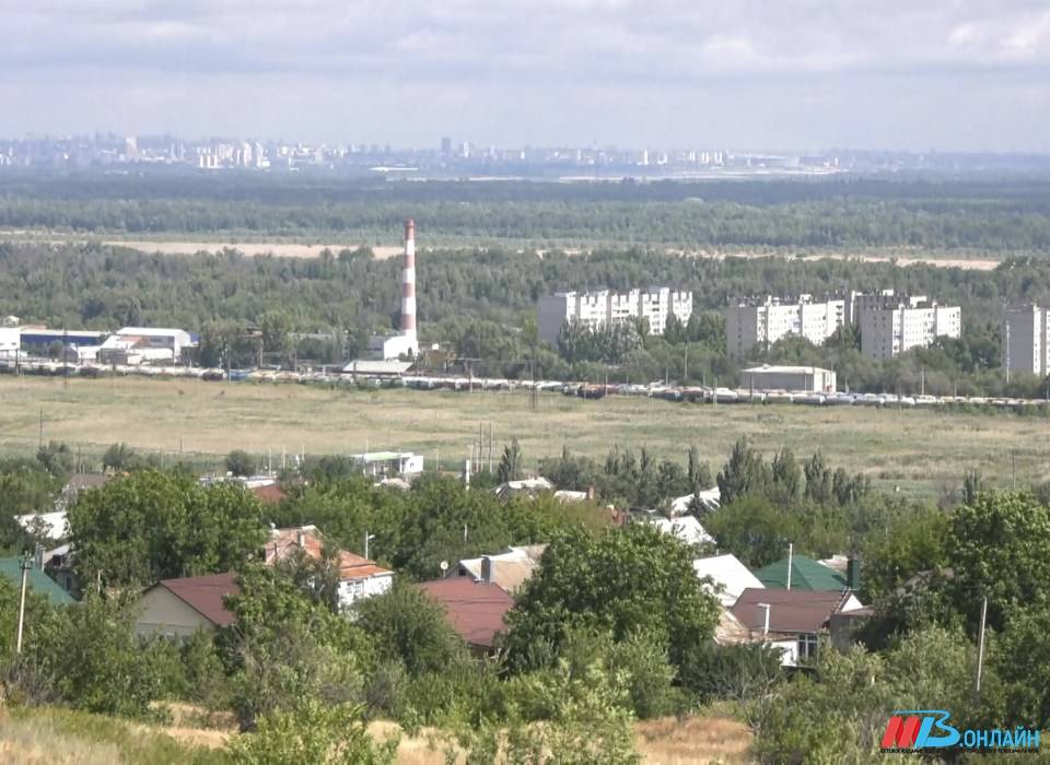 Пыльную бурю, вирус в теплицах и масштабные проверки мигрантов обсуждают волгоградцы
