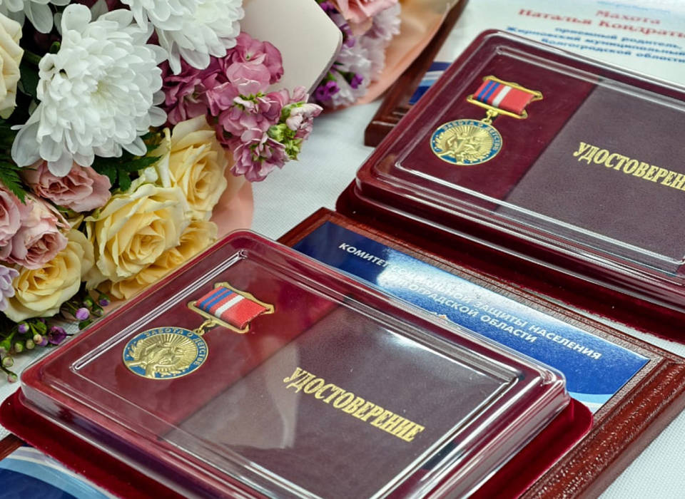 Десять волгоградцев получили почётный знак губернатора «Забота о детстве»
