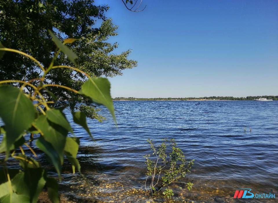 1,9 млн кубометров воды спасут Волго-Ахтубинскую пойму от меженного кризиса