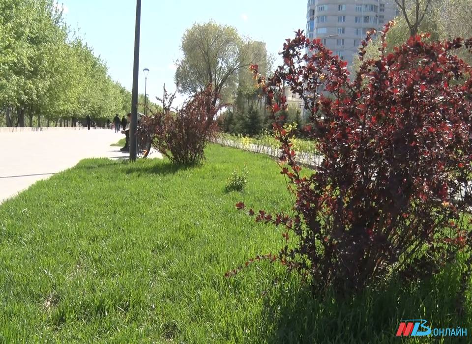 Волгоградцы могут сами решить судьбу общественных пространств города