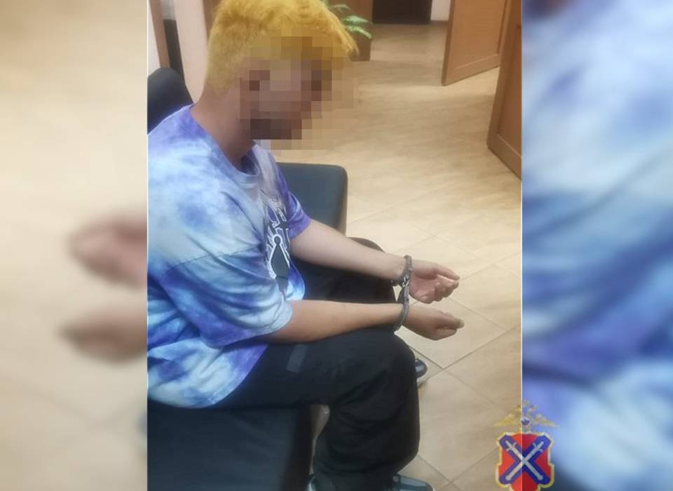 Школьник зарубил отца топором под Волгоградом и сбежал, изменив внешность