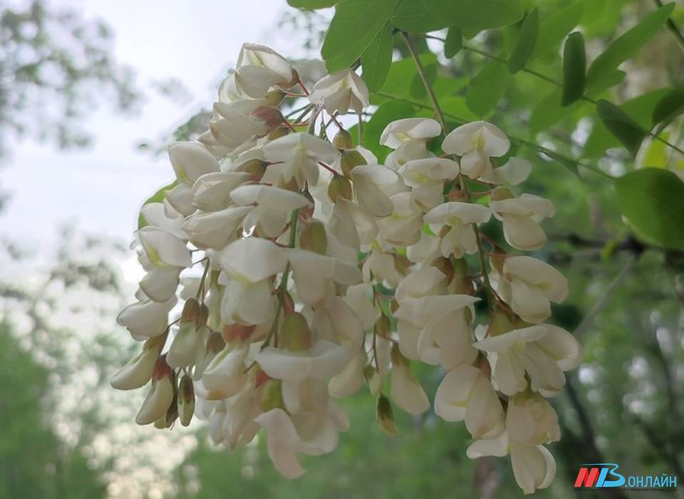 В Волгограде семь новых улиц получили названия