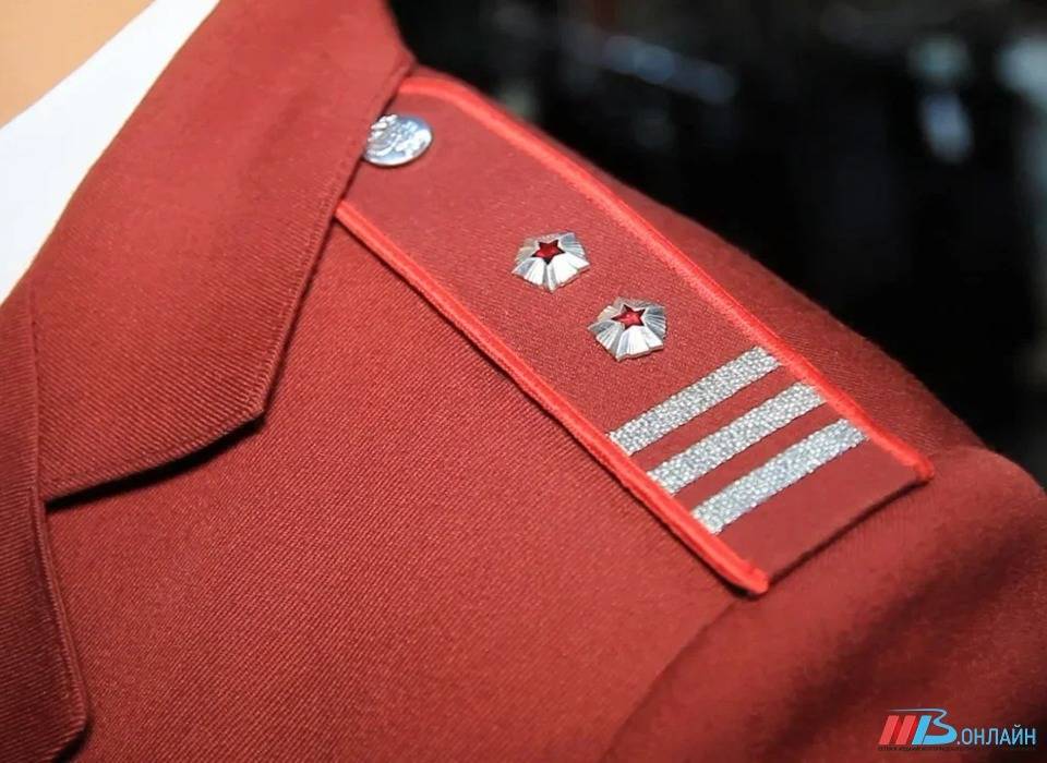 Советы по выбору черешни дали жителям Волгограда и области