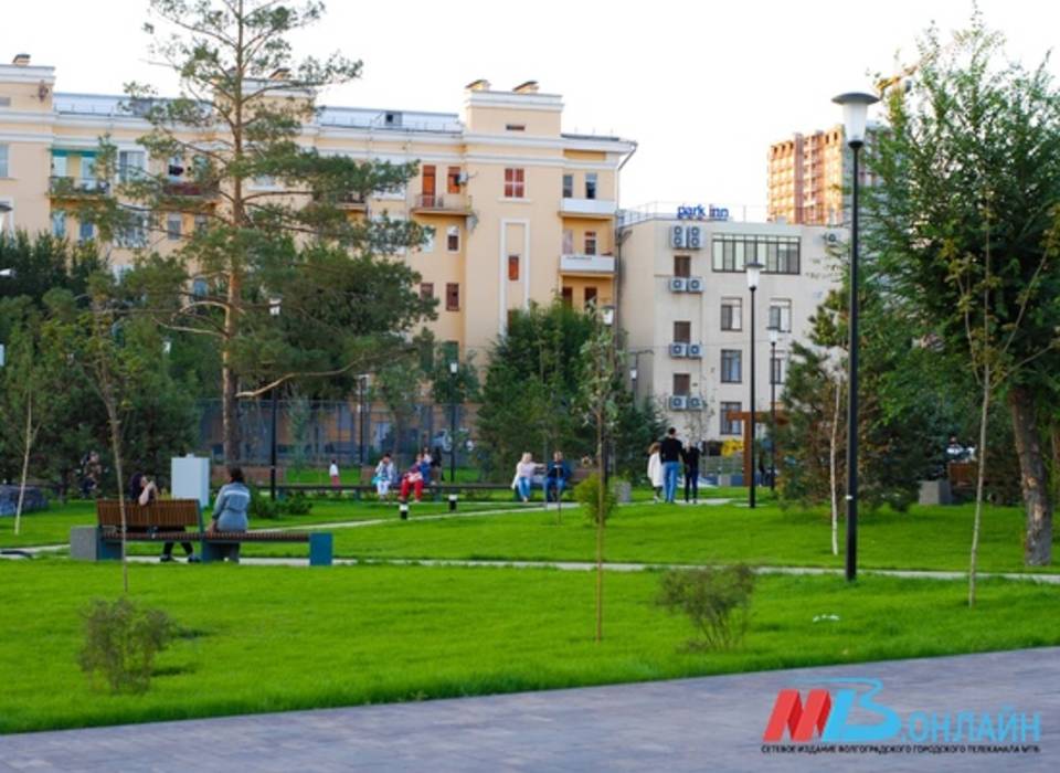 Вторая волна надоедливой мошки атаковала Волгоград в июньскую жару