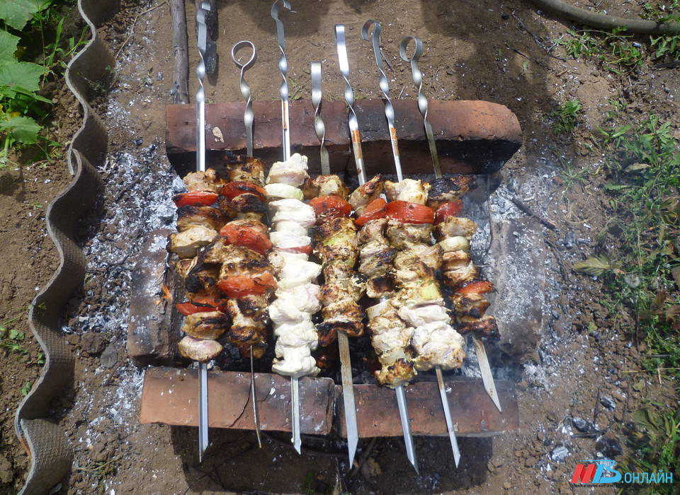 Свинина стала самым популярным мясом для шашлыка у волгоградцев