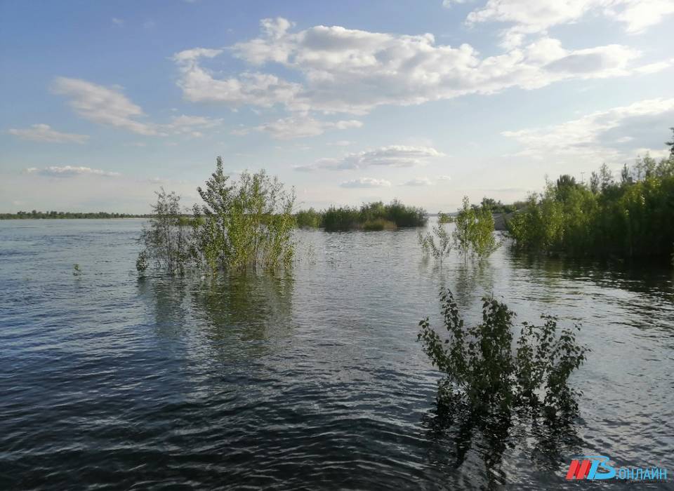 Завершение половодья в регионе обсуждают волгоградцы