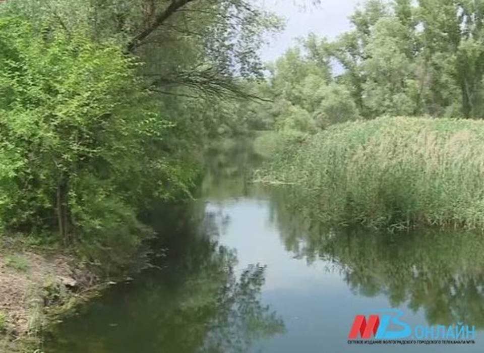В райцентре Волгоградской области река начала выделять сероводород