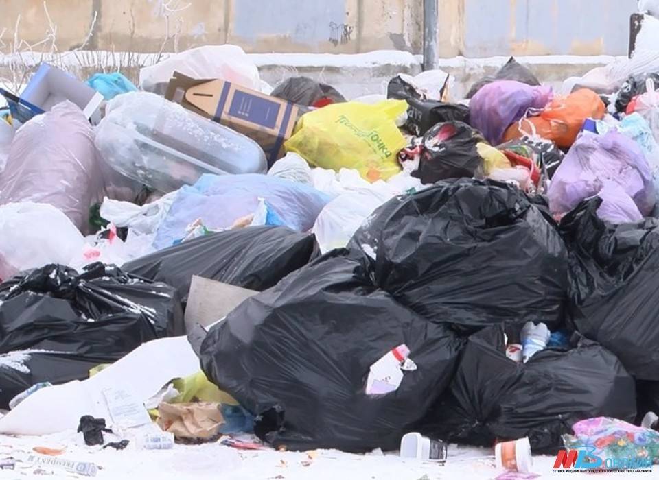 Под Волгоградом засняли грузовик, сваливающий мусор на охраняемых землях