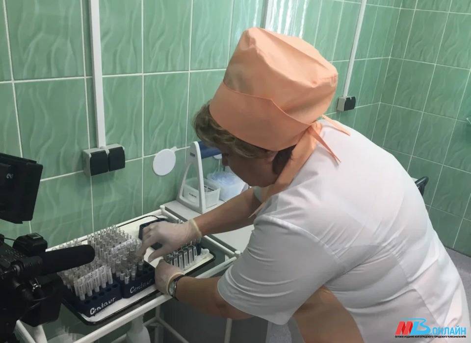 В РПН волгоградцам ответили на самые частые вопросы про острые кишечные инфекции