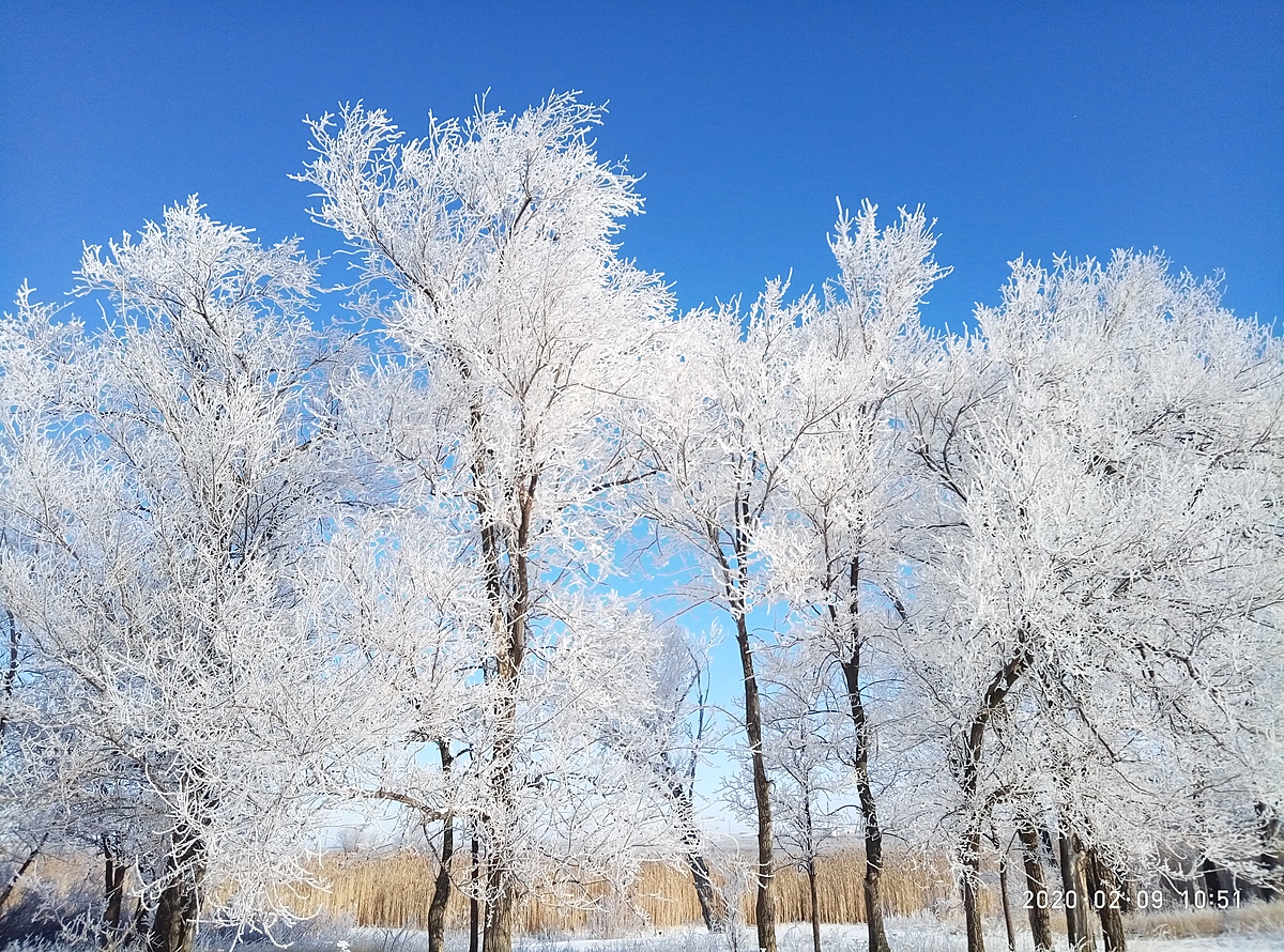 Любовь Александровна Галицкая