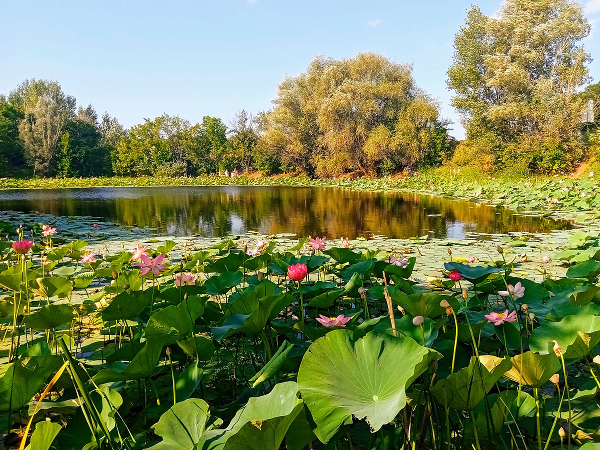 Черновалова Людмила Юрьевна