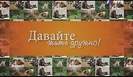 В Волгограде прошла уникальная ярмарка животных • Давайте жить дружно, выпуск от 21 августа 2017