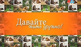 Жизнь Сида. История собаки с оторванной челюстью • Давайте жить дружно, выпуск от 9 апреля 2018