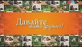 100 000 рублей за жизнь собаки • Давайте жить дружно, выпуск от 22 октября 2018