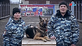 Волгоградские полицейские поздравляют горожан с Новым годом • Безопасный город, выпуск от 30 декабря 2019