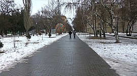 История Комсомольского сада в Волгограде • Вехи в истории, выпуск от 12 марта 2020