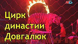 МТВ показало волгоградским детям цирк во время пандемии • Спецпроекты: разное, выпуск от 2 июня 2020