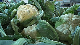 Здоровый стол круглый год: шоковую заморозку овощей начали применять в Волгограде • ДИНАМИКА РАЗВИТИЯ, выпуск от 29 октября 2020