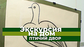 Выставка «Птичий двор» в музее Машкова • Экскурсия на дом, выпуск от 6 сентября 2021