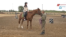 Как живут лошади в центре военно-спортивной и конной подготовки и с чего начать обучение верховой езде • Давайте жить дружно, выпуск от 10 июня