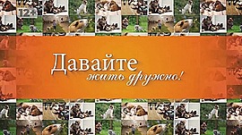 Как корги приняли на работу в волгоградский ЦПКиО, почему хвостатый полицейский не хочет уходить на пенсию и кто такие зооняни • Давайте жить дружно, выпуск от 6 декабря