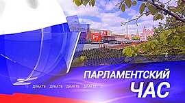 Повышение качества жизни в регионах, законы мая и Добровидение-2025 • Парламентский час, выпуск от 14 мая