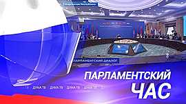Контроль и учёт мигрантов и запрет на продажу энергетиков детям • Парламентский час, выпуск от 28 мая