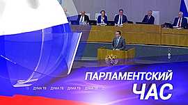 Закрепление «профессионалитета» в обучении, контроль производства БАДов и законы недели • Парламентский час, выпуск от 4 июня