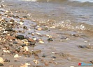 Волгоградский Роспотребнадзор рассказал об итогах проверки качества воды на пляжах