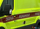 В Волгоградской области водитель «Лада Гранта» пострадал после наезда на корову