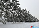 На Волгоградскую область надвигаются ночные морозы до -19°C