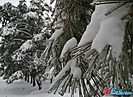 Смотрим погоду в Волгограде на последнюю неделю зимы