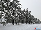 В конце зимы в Волгоград и область пришло потепление