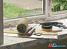 В Волгограде выполнят капитальный ремонт школы № 64