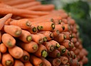 100 тонн моркови Волгоградская область отправила в соседнюю страну