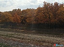 В Волгоградской области предложили увеличить расходы на охрану лесов