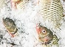 В Волгоградской области 92-м кг рыбной продукции увеличили сроки годности