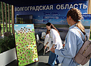 Волгоградский регион представил туристический потенциал на форуме в Москве
