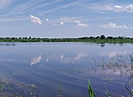 В Волгоградской области в новом экопроекте заявлено 55 водных объектов